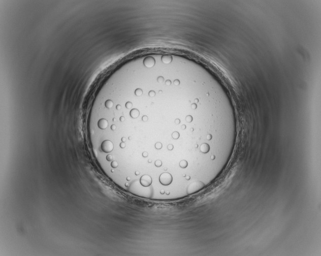 X0000111190974200907011005
