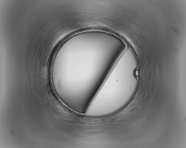 X0000111190975200907011005