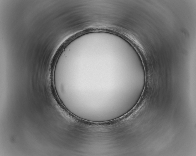 X0000111190976200907011005