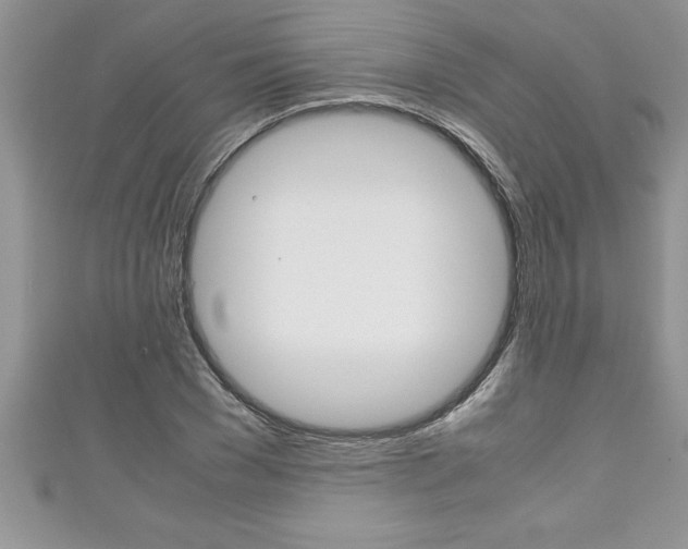 X0000111190977200907011005