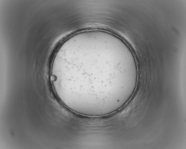 X0000111190979200907011005