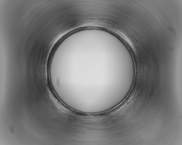 X0000111190980200907011005