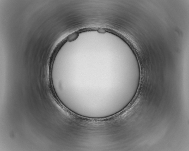 X0000111190982200907011005