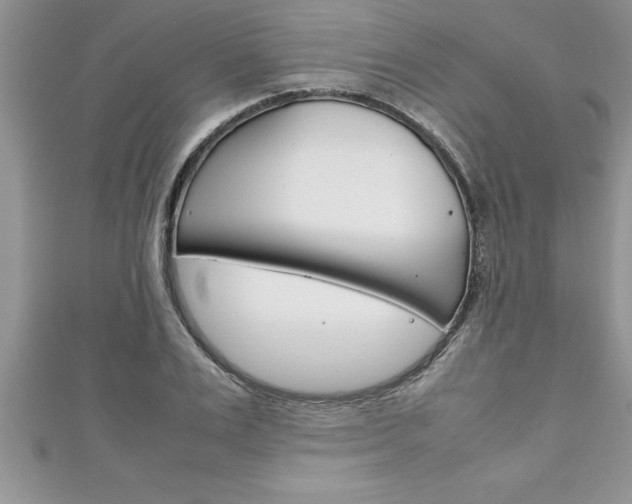 X0000111190983200907011005