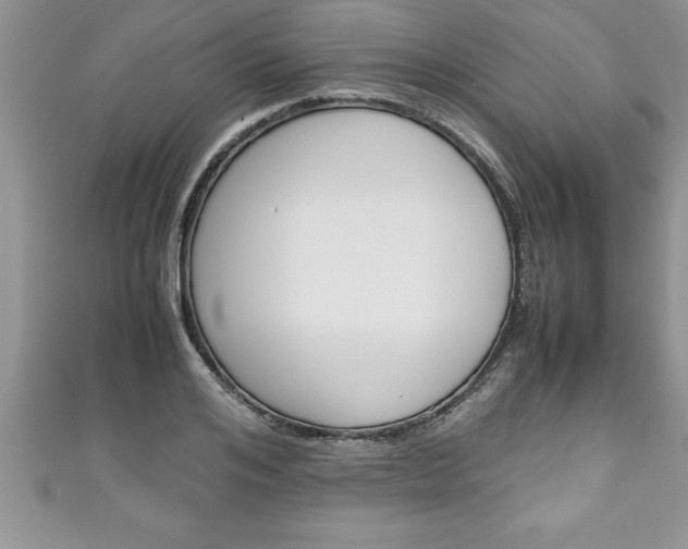 X0000111190984200907011005