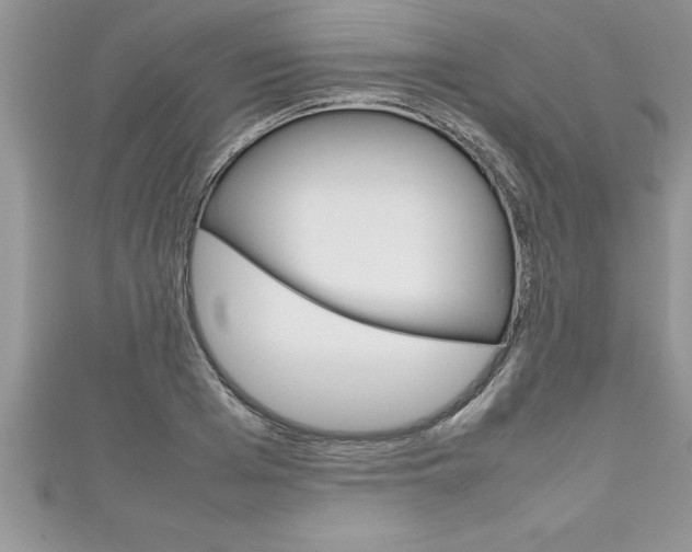 X0000111190985200907011005