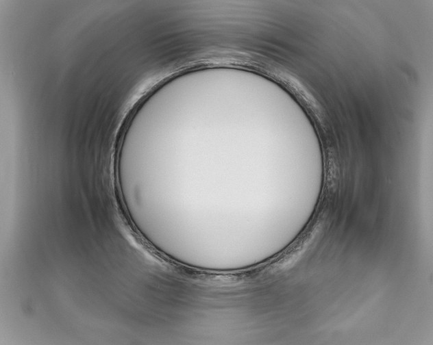 X0000111190986200907011005