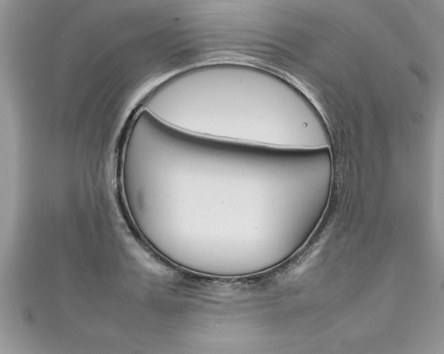 X0000111190987200907011005