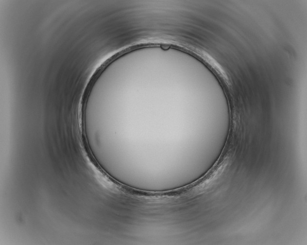 X0000111190988200907011005