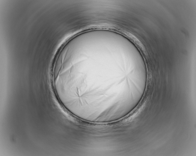 X0000111190989200907011005
