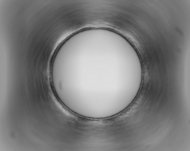 X0000111190990200907011005