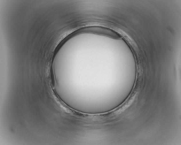X0000111190993200907011005