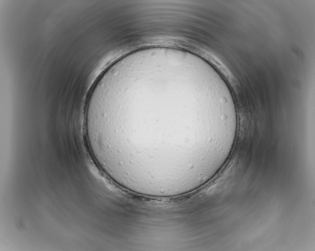 X0000111190994200907011005