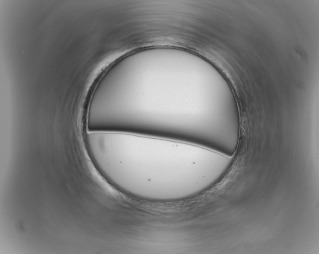 X0000111190995200907011005