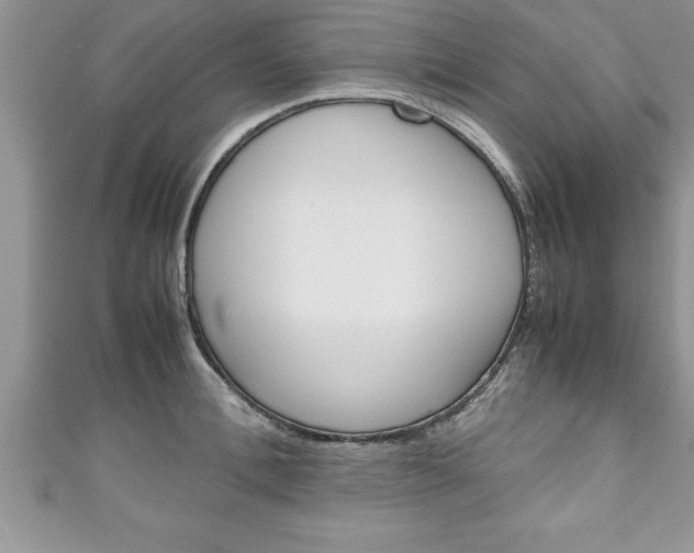X0000111190996200907011005