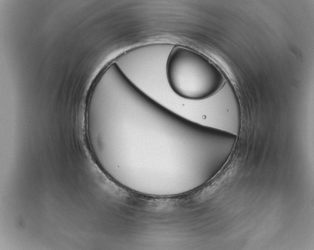 X0000111191000200907011005