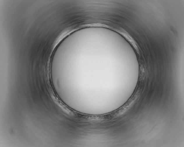X0000111191002200907011005