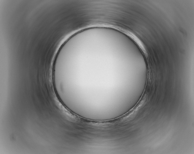 X0000111191004200907011005