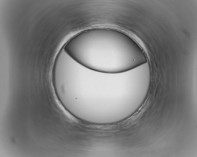 X0000111191005200907011005