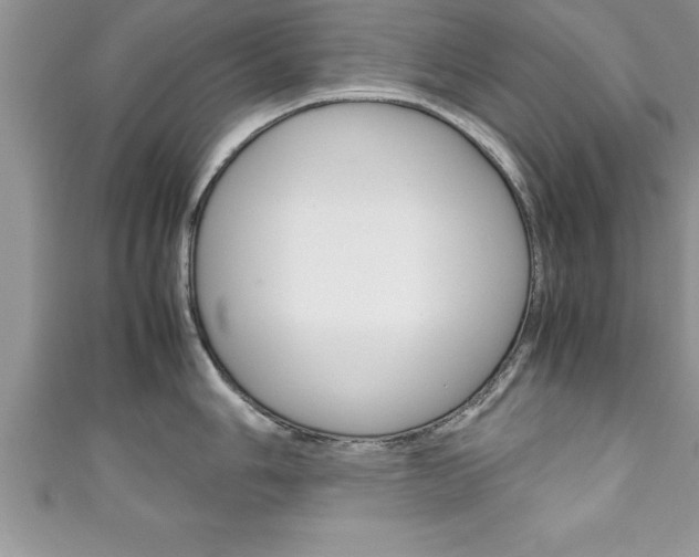 X0000111191006200907011005