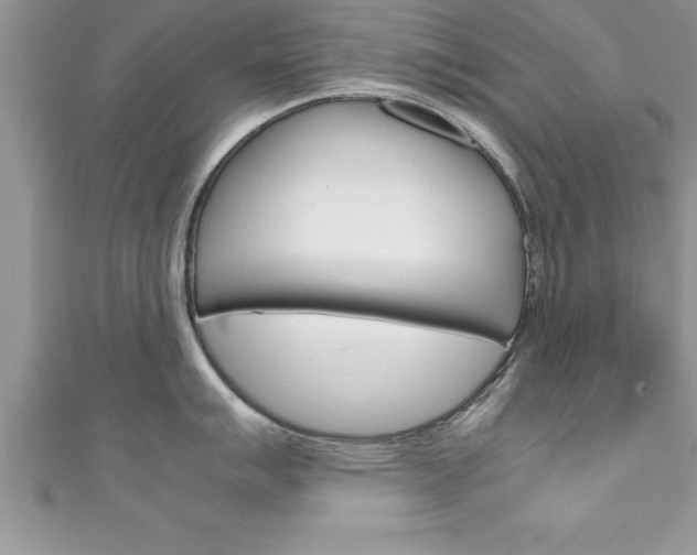 X0000111191007200907011005