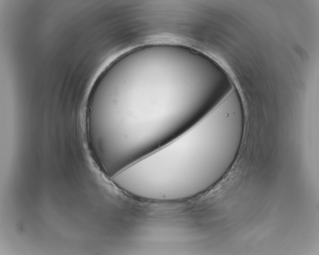 X0000111191008200907011005