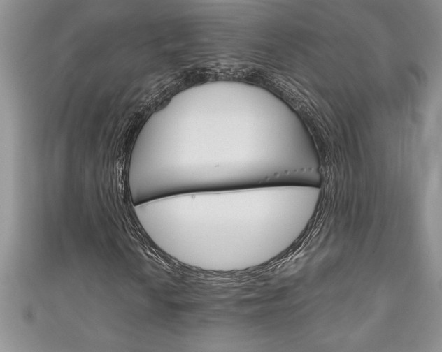 X0000111191010200907011004