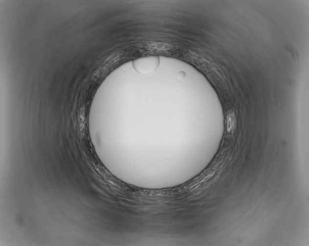 X0000111191011200907011004