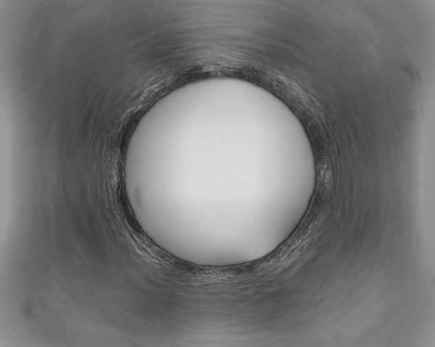 X0000111191012200907011004
