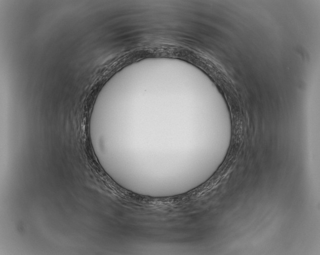 X0000111191013200907011004