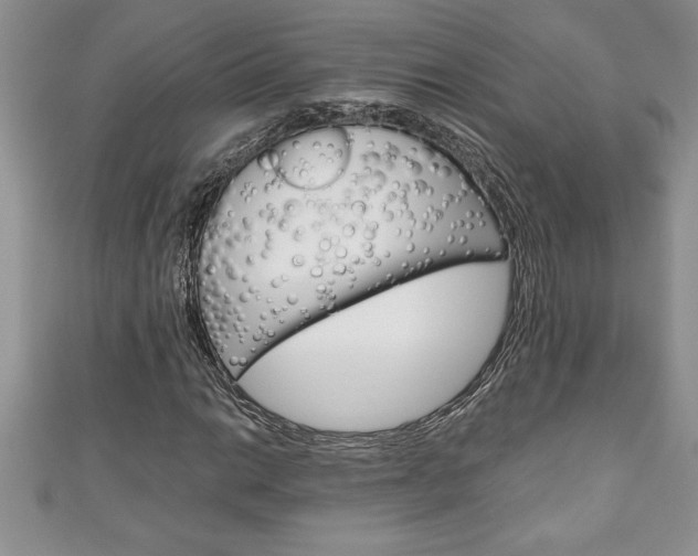 X0000111191014200907011004