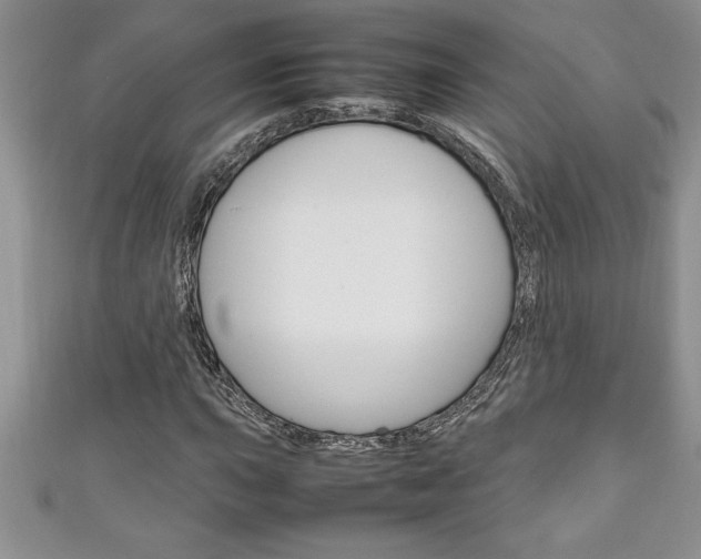 X0000111191015200907011004