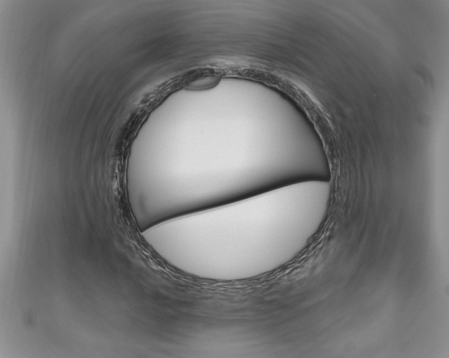 X0000111191016200907011004