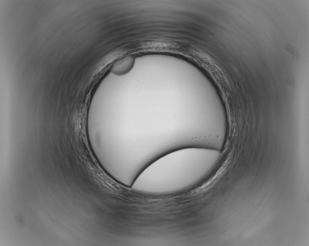 X0000111191017200907011004