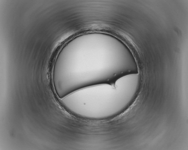 X0000111191018200907011004