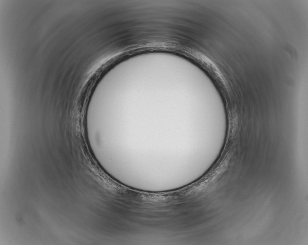 X0000111191019200907011004