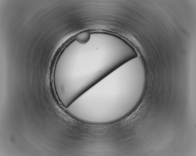 X0000111191020200907011004