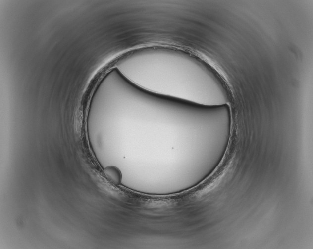 X0000111191021200907011004