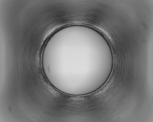 X0000111191023200907011005
