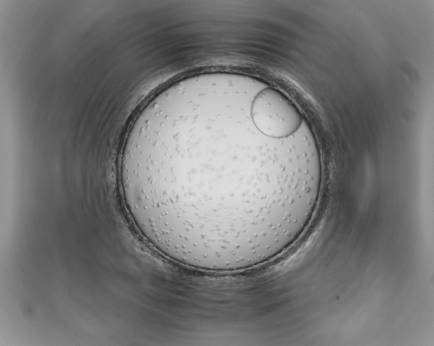 X0000111191025200907011005
