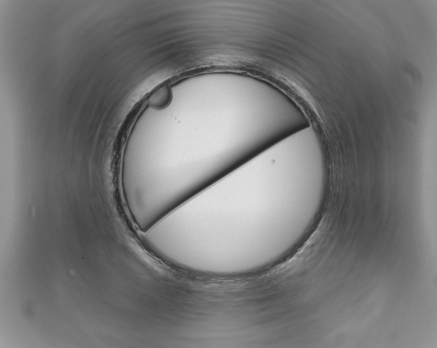 X0000111191026200907011005