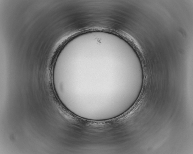 X0000111191027200907011005