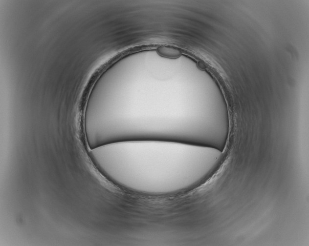 X0000111191029200907011005