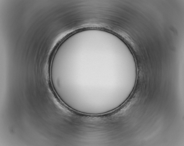 X0000111191030200907011005
