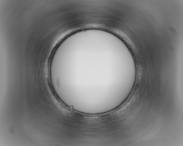 X0000111191031200907011005