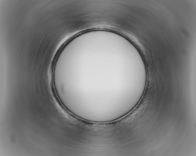 X0000111191032200907011005
