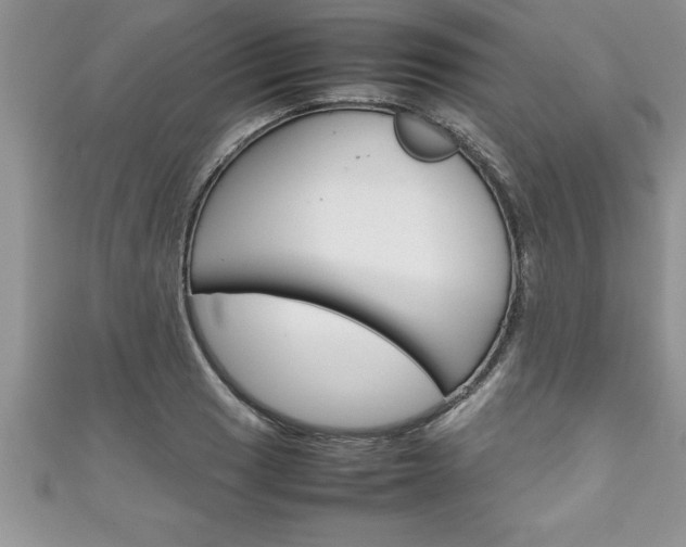 X0000111191033200907011005