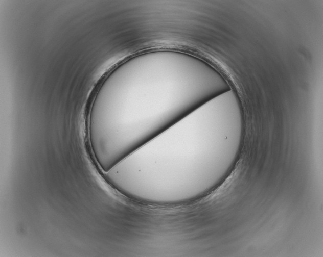 X0000111191034200907011005