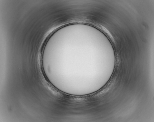 X0000111191035200907011005