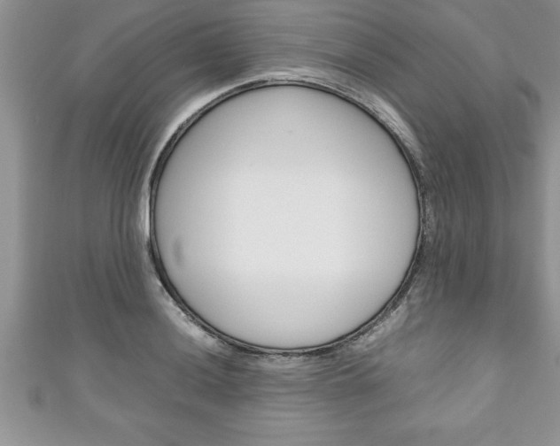 X0000111191036200907011005